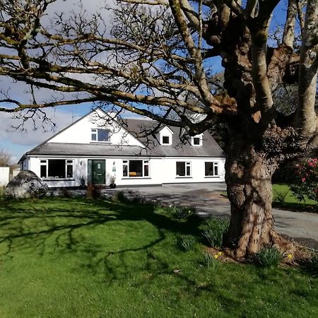 Mountain View Guesthouse Oughterard Buitenkant foto