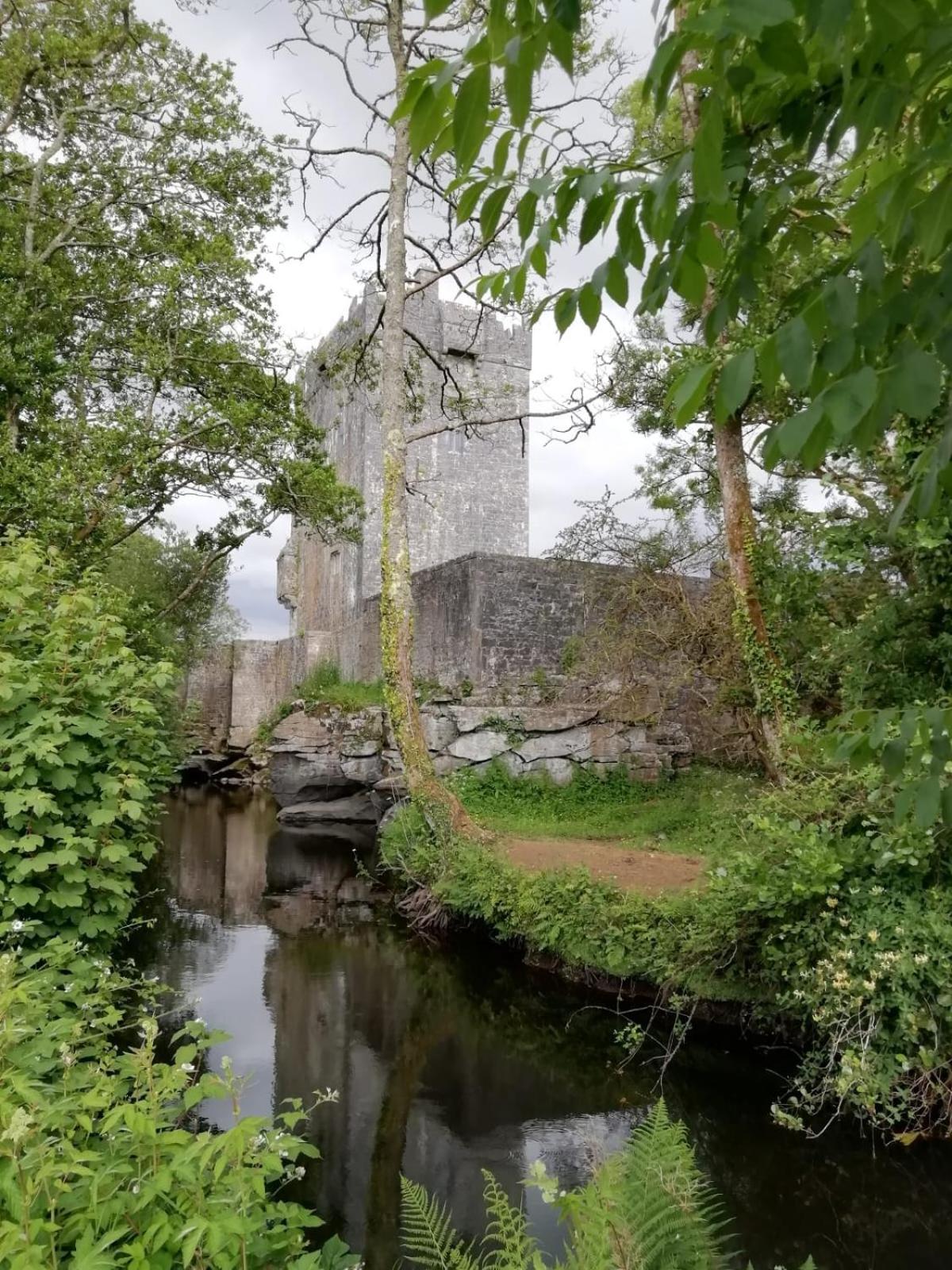 Mountain View Guesthouse Oughterard Buitenkant foto